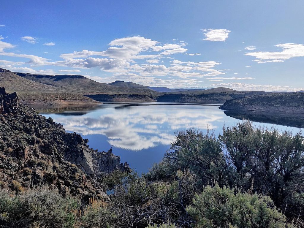 Blue Mesa Landscape.jpg