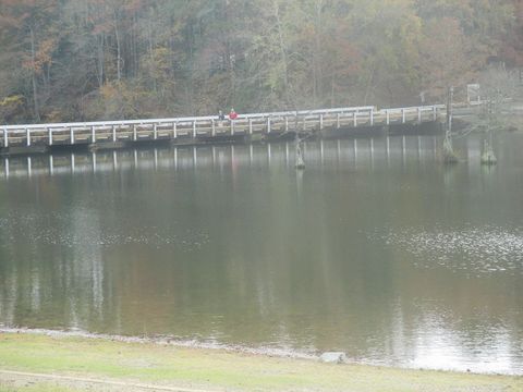Bridge across Broken Bow Lake, OK IMG 8527.JPG
