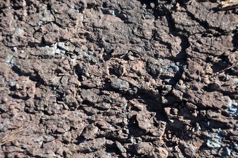Reddish sandstone (Upper Triassic; Jordan Lake, North Carolina, USA) 15.jpg