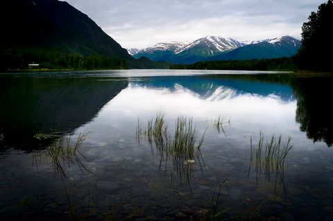 Blue calm on Kenai Lake.jpg