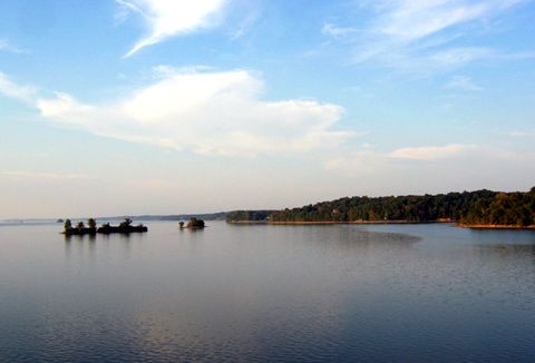 Kentucky Lake (Land Between the Lakes National Recreation Area).jpg