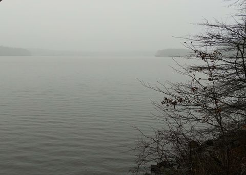 LA Mysterious Lake Anna.jpg