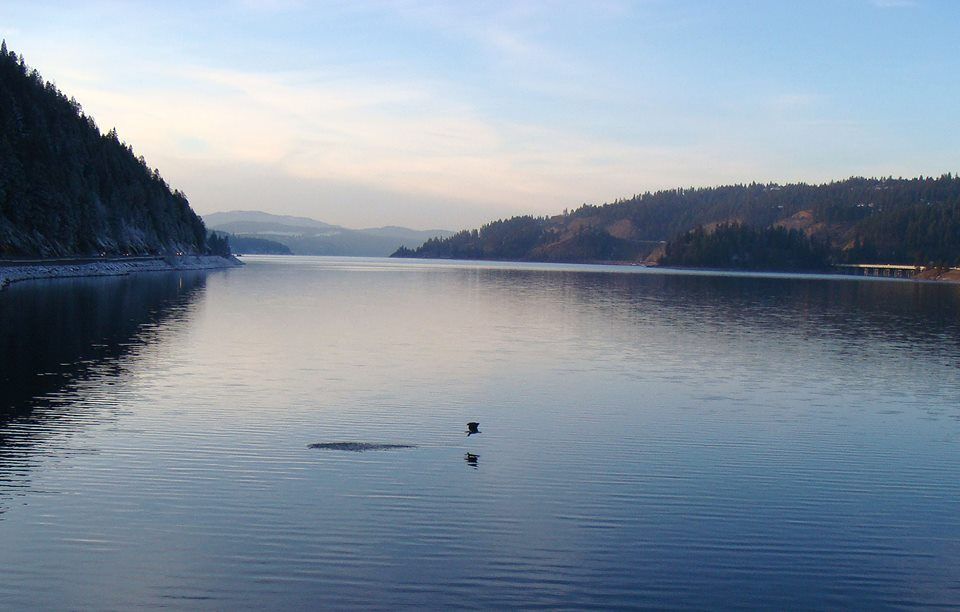BLM Winter Bucket List -6- Lake Coeur d’Alene, Idaho, for the Annual Eagle Count (15933242690).jpg