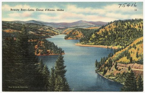 Beauty Bay- Lake Coeur d'Alene, Idaho (75416).jpg