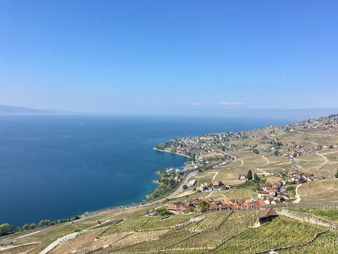 -i---i- (33851728310).jpg