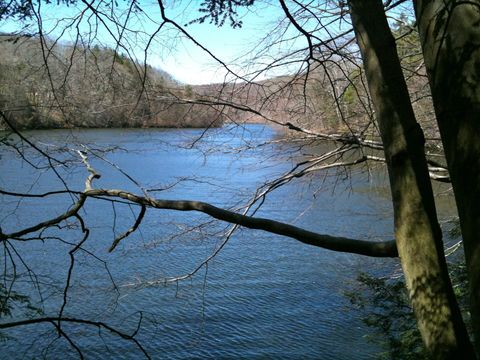 LillinonahTrail PondBrookInlet.JPG