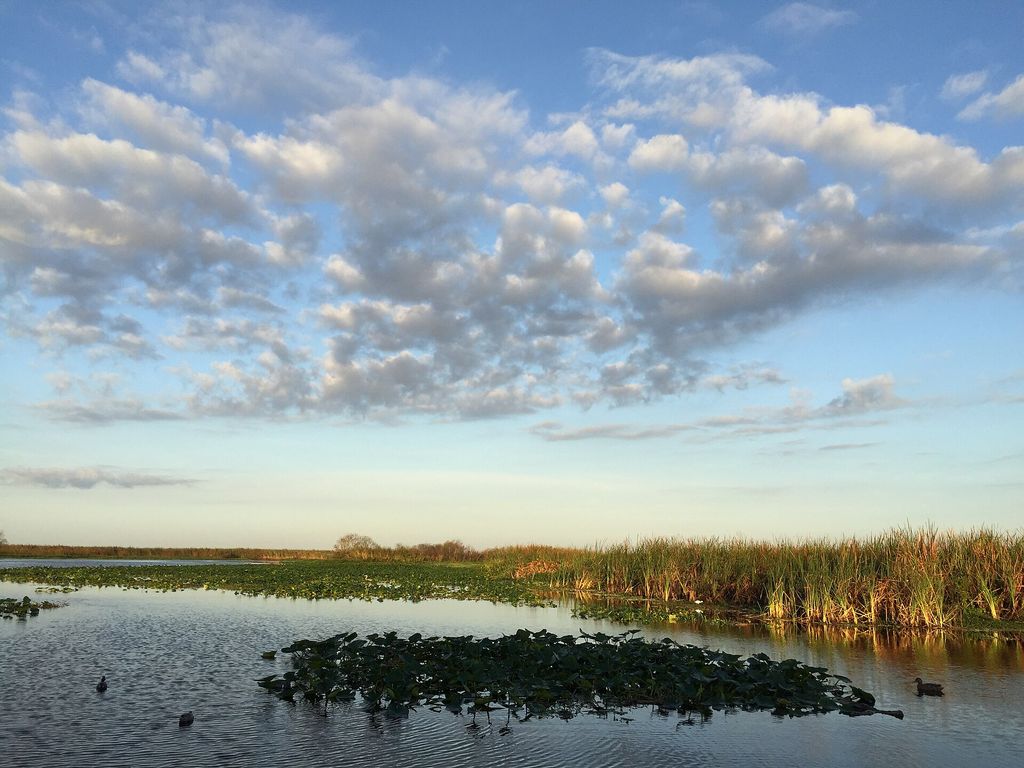 Lake Monroe, Florida.jpg