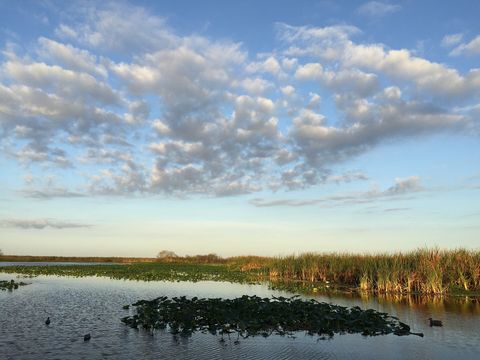 Lake Monroe, Florida.jpg