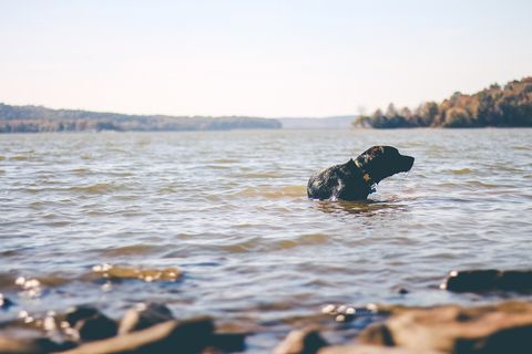 Lake Monroe, United States (Unsplash).jpg