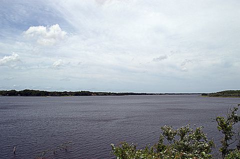 Lake Tarpon View.jpg