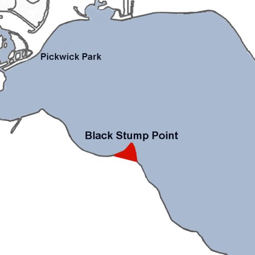 Black Stump Point Lake Wawasee.png