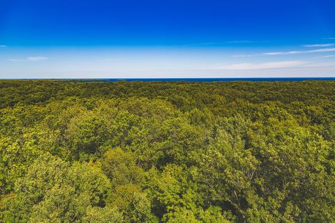 Above the tree canopy - Mille Lacs Lake from Kathio Observation Tower, Minnesota (29035822884).jpg