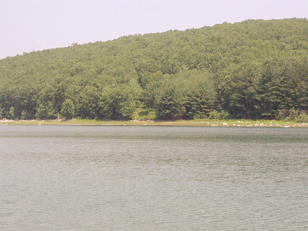 -1 Closer Look at Target Area -9.jpg
