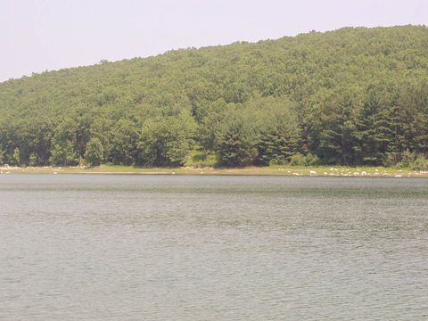 -1 Closer Look at Target Area -9.jpg