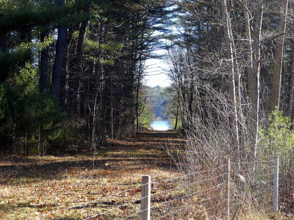 Providence and Danielson railbed near Scituate Reservoir, December 2023.JPG
