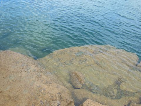 Picture of shore - Smith Lake.jpg