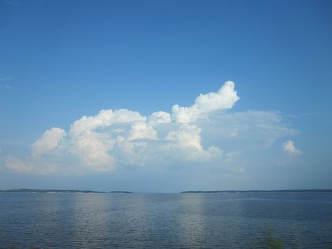 View of Toledo Bend between LA and TX IMG 1806.JPG